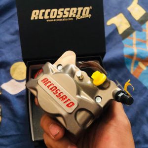 Heo 2 pis đối xứng ACCOSSATO